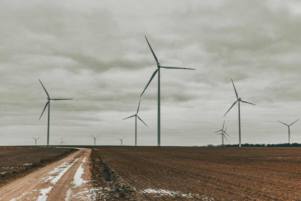 TRANSIZIONE CLIMATICA, SEIPA: «ECONOMIA CIRCOLARE E BIODIVERSITÀ SONO LEVE STRATEGICHE»